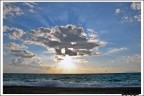 mare