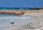 chrissi island (Creta)