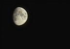 Fuji S100FS
f 5.3
sec 1/40
iso 100
15x  (400mm)