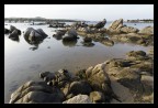 Rocks