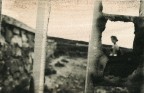 Emulsioni tattili