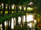 Ho voluto provare a trasformare questa foto utilizzando l'effetto Orton. E' la prima volta che lo uso, per cui necessito particolarmente di consigli e suggerimenti.
Grazie a tutti in anticipo!