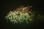 nikon d70 sigma 75-300 170
f/8
2.5
iso 200