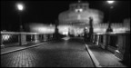 La foto  stata scattata con D90 e Tokina 12-24, poi in pp ho creato lo sfuocato e il b/w.