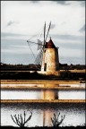 Mulino