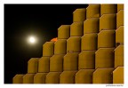 Luna di miele
