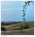 25-09-2011-L1003500