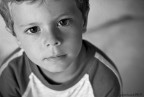 Alessio