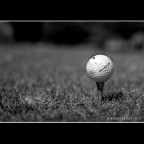 ::: GOLF :::
