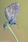 Consigli ben accetti, ciao

1/25s f13 640iso

www.spangshot.it

[url=http://www.spangshot.it/incoming/Far1800.jpg][b]Clicca qui per la versione ad alta risoluzione![/b][/url]