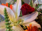 ..Mazzo Di Fiori..