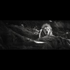 king