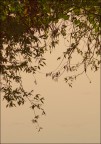 st