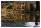 L'autunno e i suoi colori....

EXIF Summary: Nikon D3s, 24-70 f2.8,	1/30s, f/11.0, ISO200, 24mm

Commenti e consigli sempre graditissimi.

Ciao e buone foto a tutti.
