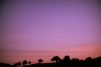 Dreams