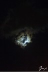 Luna oscurata