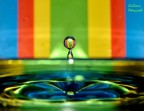 BiSplash