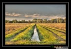 Nikon D80

18-135@50mm
ISO 400
HDR 3 scatti 1/25sec - 1/100sec - 1/6sec