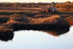 delta del po