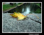 Visione da uno dei ponti che sovrastano uno dei tanti parchi attraversati da corsi d'acqua a Riga ( Lettonia ).
CC graditi.......saluti