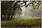 Parco di Milano..una domenica mattina..quando la citt dorme ancora...