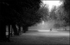 MIIMG5975