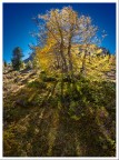 controluce autunnale