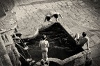 Gioventu'