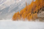 Nebbia da evaporazione : La nebbia da evaporazione  creata dall'aria fredda che passa sull'acqua molto pi calda.
E' pi frequente nelle regioni polari, e intorno ai laghi pi grandi e pi profondi nel tardo autunno e all'inizio dell'inverno.
Questa foto  stata scattata presso il lago di Livigno (c.a. 1.800 mt di altitudine) il 23/10/11; non so quale fosse la temperatura del lago, la temperatura dellaria era di -10 
 f10  1/20sec  iso200  75mm.