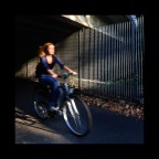 Ancora bici