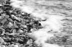 Shells vs sea
