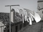 profumo di vento