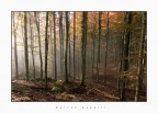 Atmosfera d'autunno