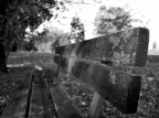 f/3.5
1/160
ISO 100
18mm