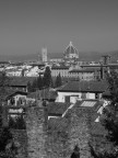 firenze