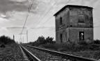 va dove ti porta il cuore
