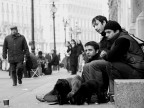 a milano: colletta