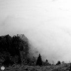 fog.