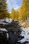Colori d'autunno