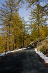 Colori d'autunno
