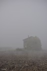 Paesaggio rurale, Colli Euganei - Nikon D90, Nikon AF-S DX 18-105mm f/3.5-5.6 G ED VR, f/10 1/500 52mm ISO200, mano libera