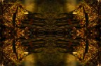 Fotoelaborazione
Un saluto, pierino