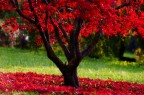 Autunno