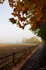 Autunno, Colli Euganei - Nikon D90, Nikon AF-S DX 18-105mm f/3.5-5.6 G ED VR, f/10 1/250 18mm ISO200, mano libera