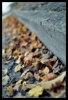 Sapore d'autunno