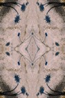 Foto elaborazione