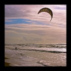 kite