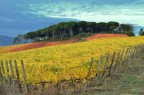 Colori autunnali