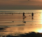 la pesca