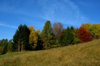 Sfumature d'autunno 2